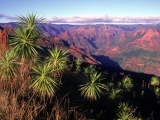 Waimea Canyon, Kauai, Hawaii