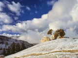 Spring Snow, Yosemite, California