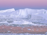 Icebergs on Disko Bay, Greenland