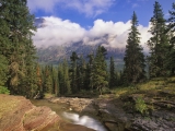 Mountain Stream, Glacier National Park, Montana