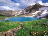 Alpine Tranquility, Olympic National Park, Washington