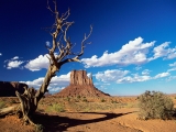 West Mitten Butte, Monument Valley, Arizona