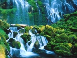 Proxy Falls, Willamette National Forest, Oregon