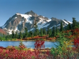 Picture Perfect, Snoqualmie National Forest, Washington