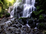 Fairy Falls, Columbia Gorge, Oregon