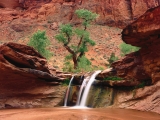 Coyote Gulch, Escalante River Canyons, Utah