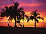 Silhouettes at Sunset, Oahu, Hawaii