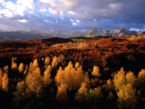 Seasonal Colors, Grand Teton National Park, Wyoming