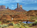 Wild Horses at the Watering Hole, Monument Valley