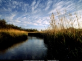 National Geographic Wallpapers 028