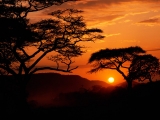 Serengeti National Park Sunset, Tanzania