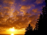 Tillamook County Sunset, Oregon